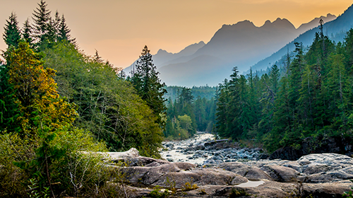 CarbonIQ Emissions Calculator